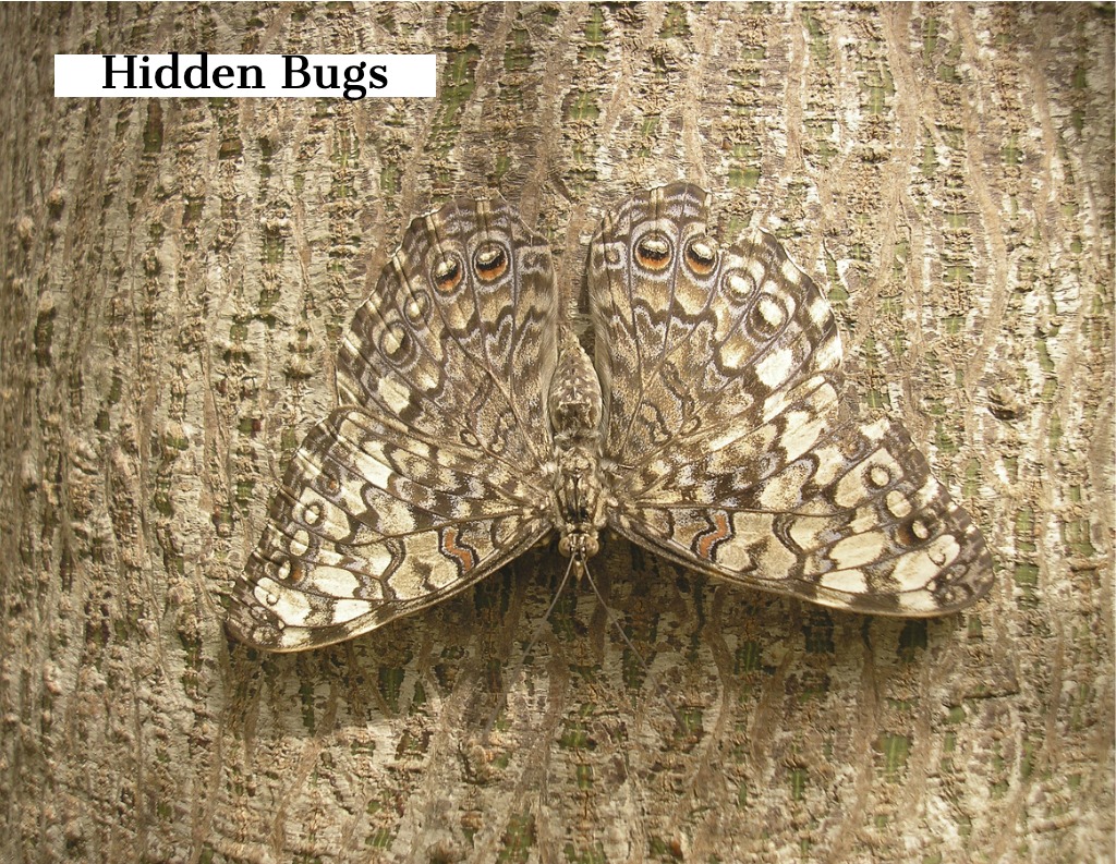 Hidden Bugs in your pipeline